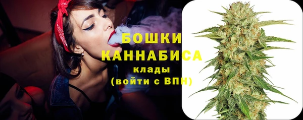 дживик Белокуриха
