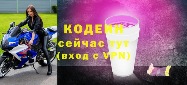 дживик Белокуриха