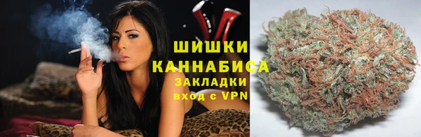 дживик Белокуриха