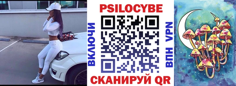 наркошоп  Елизово  Галлюциногенные грибы Psilocybine cubensis 