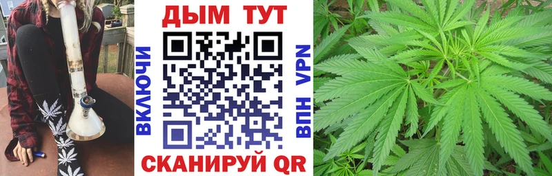 купить наркотики цена  Елизово  Конопля гибрид 